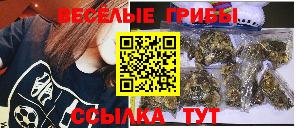 Псилоцибиновые грибы мухоморы Павловский Посад
