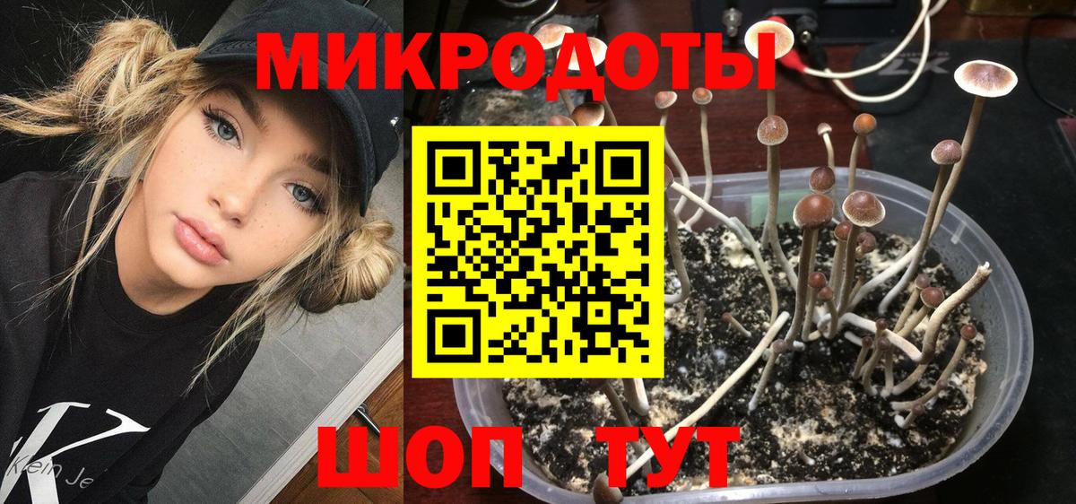 Павловский Посад  Галлюциногенные грибы MAGIC MUSHROOMS  Вход с VPN 